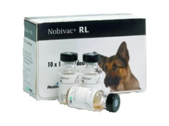Nobivac RL 10 doses