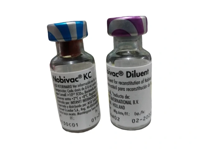 Nobivac KC 1 dose