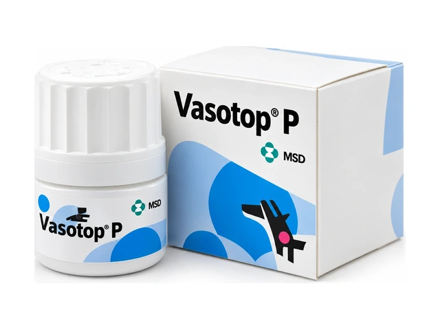 vasotop — сгенерированная иллюстрация линейки